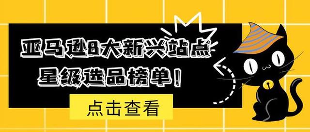 >跨境知道快讯：亚马逊8大新兴站点星级选品