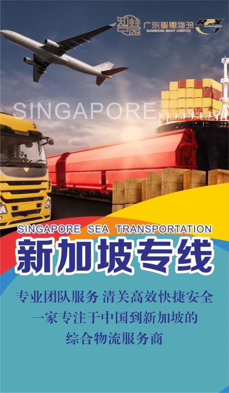 新加坡海运拼箱专线，双清关包税派送