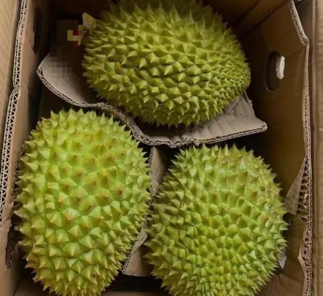越南榴莲获准出口中国，马来西亚、泰国榴莲不香了？