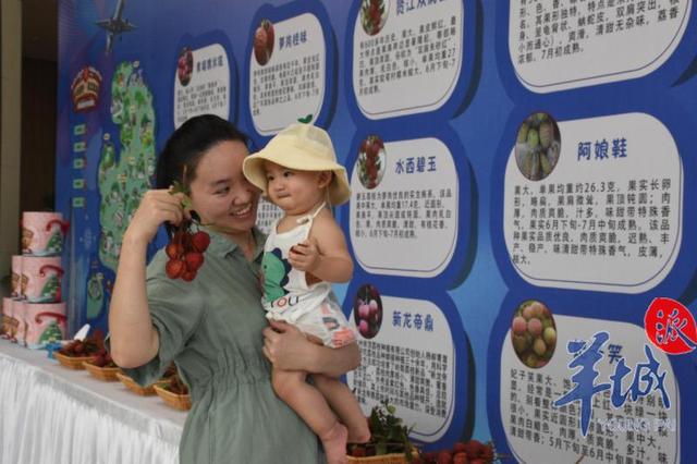 黄埔荔枝“飞往新加坡”：RCEP助力中新人民共享一树鲜荔枝