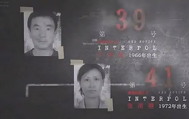 贪官带情人逃亡16个月，生病不敢去医院，被捕时哭诉：还不如坐牢