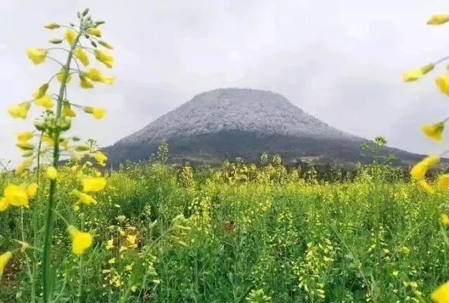 東陽