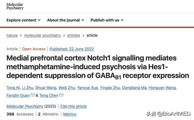 陈腾/官方霖团队揭示甲基苯丙胺诱导精神障碍的新机制