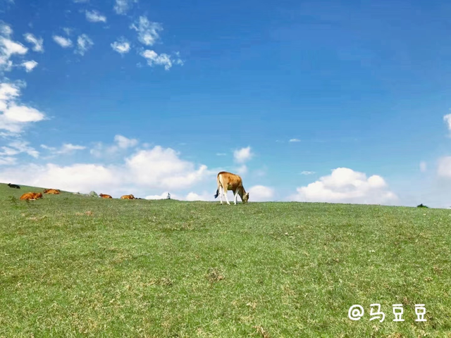 精品线路 | 福清市：侨乡古韵 草原小镇