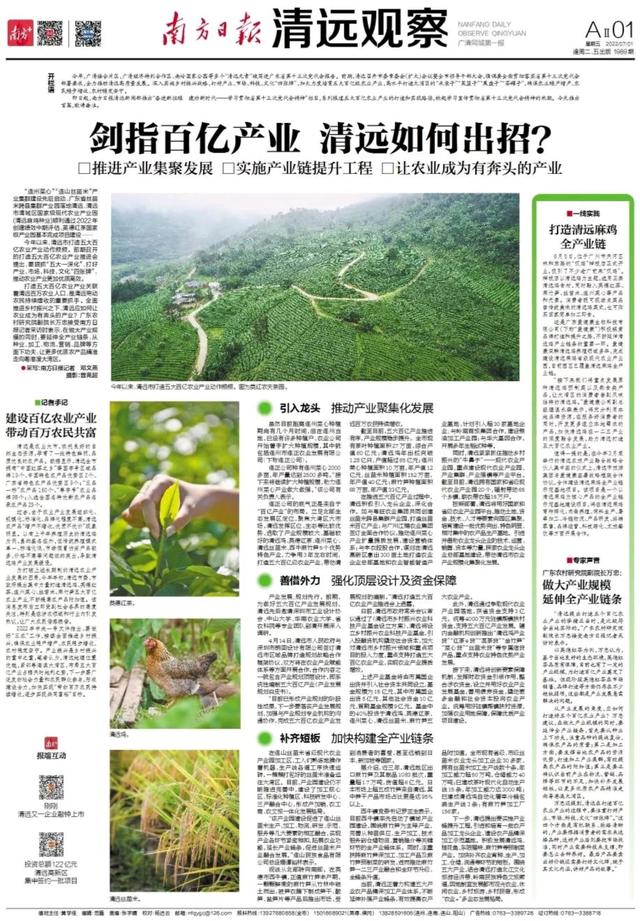 让农业成为有奔头的产业 | 清远培育五大百亿农业产业系列报道①