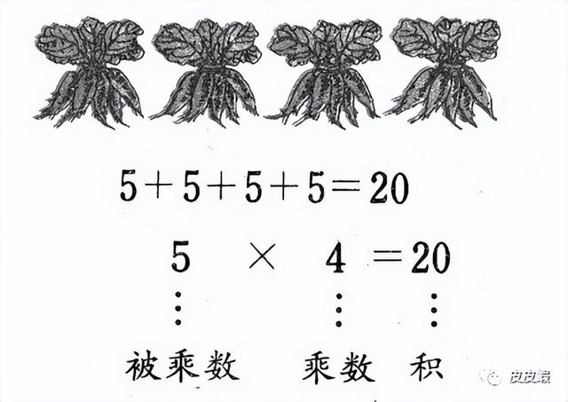 马立平：小学数学教材中的严重问题