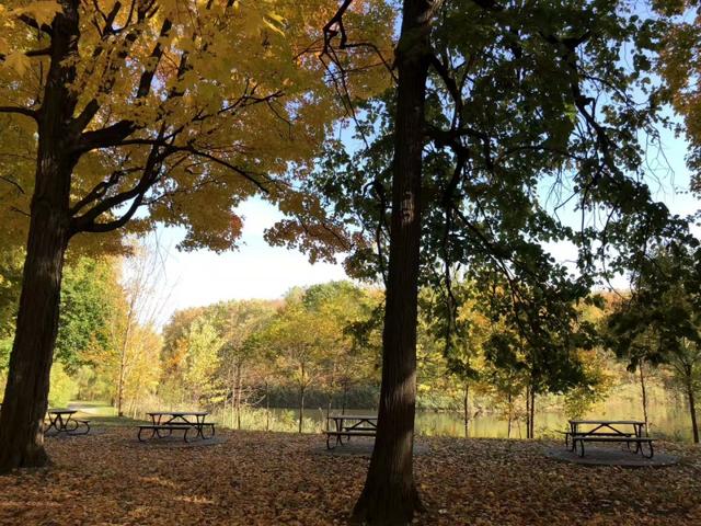 新加坡管理大学读研