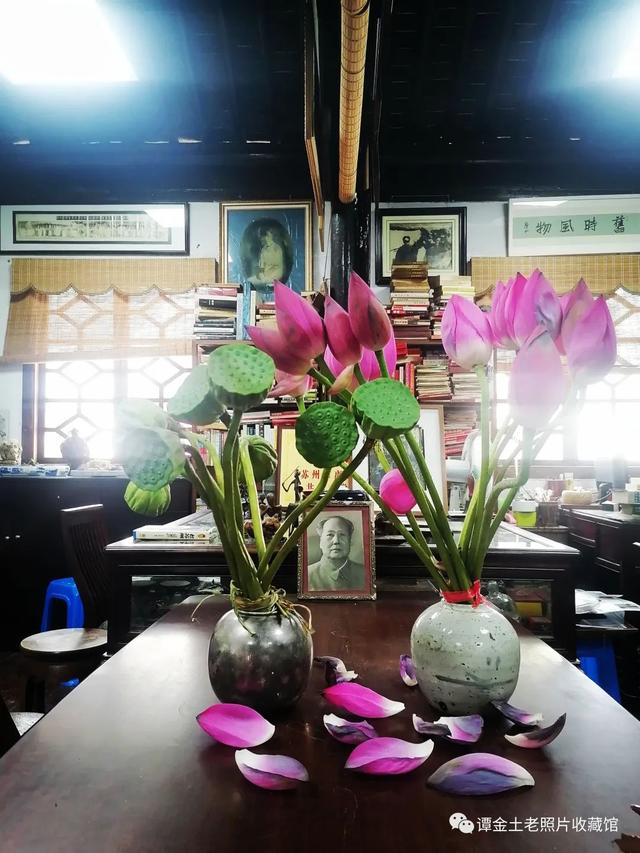 片馆讲片 抱回金牌 大明海医