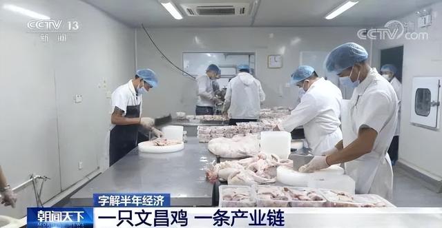销往全国30个省市区，产值120亿，海南文昌鸡“起飞”