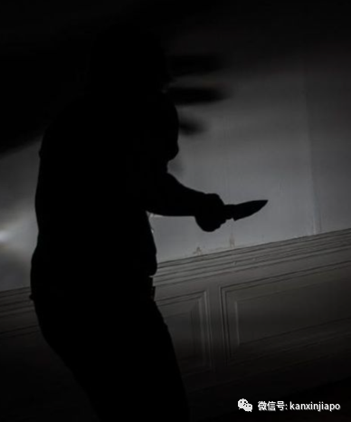 新加坡驳船码头一男子当街持刀行凶！今年已发生多起类似案件