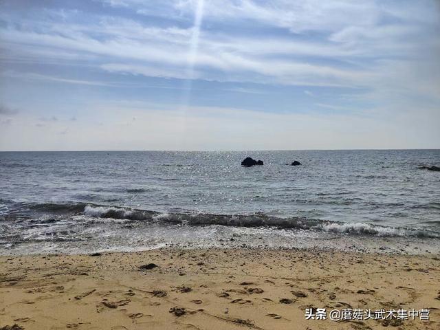 「新加坡」陈倩君：2022年07月03日(海南岛风情)