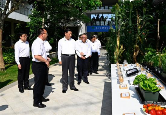 看中国·千家万户的事：自贸港蹄疾步稳 生态海南振兴忙