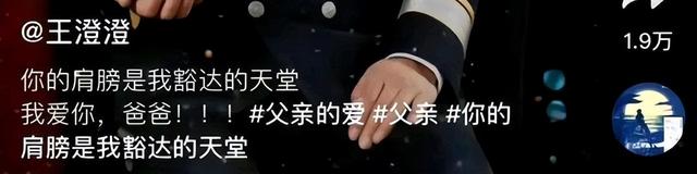 王澄澄事件：父亲系公安局退休干部，擅自批准使用直升机者被免职