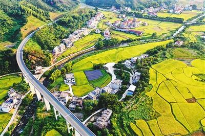 海外点赞乡村振兴的中国经验（国际论道）