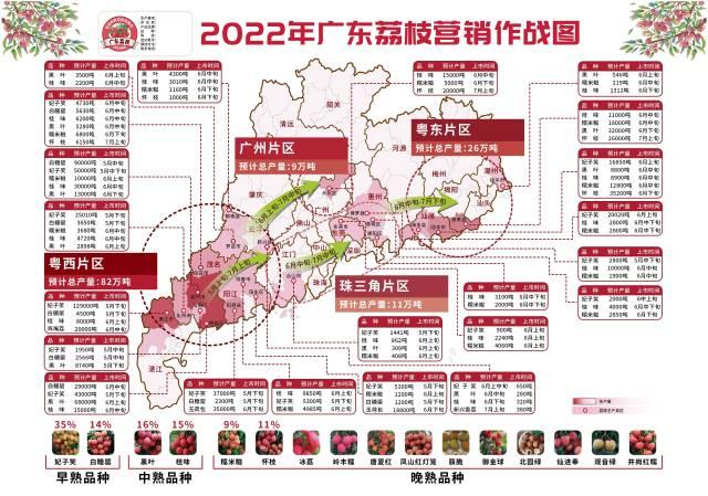 2022广东荔枝卖出好价钱，百万荔农乐开了花