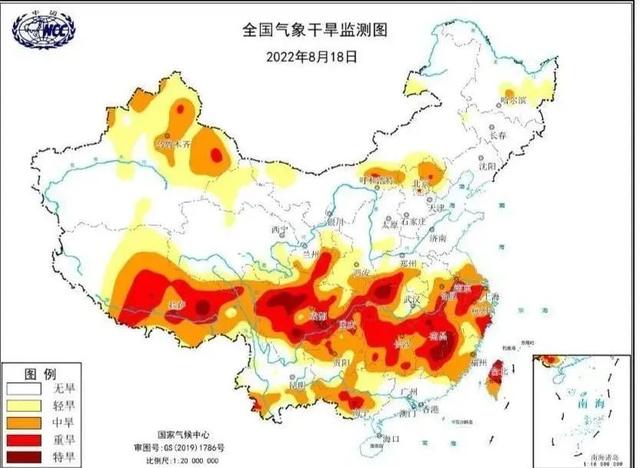 8月19日·上海要闻及抗击肺炎快报