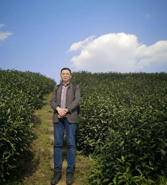 新加坡将禁止奶茶打广告，茶产业必须做两个准备