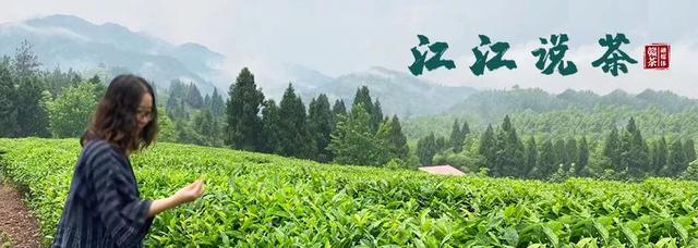 赣南茶行 | 上犹：守望茶心 看光菇山的“破茧成蝶”（三）