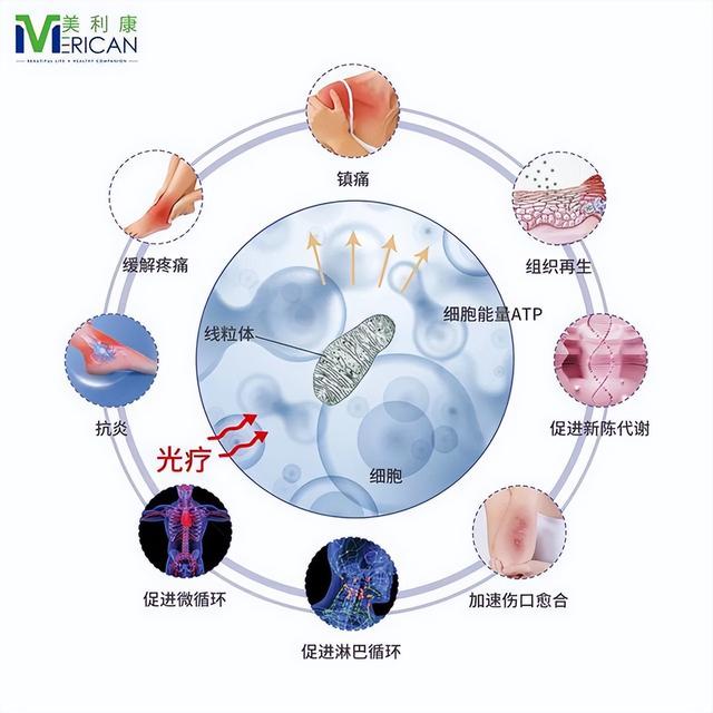 产学研深度融合！美利康携手暨南大学推进细胞及心血管专项研究