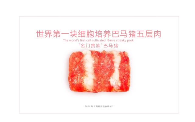 超技良食：万亿级赛道，世界首块细胞培养巴马猪“五层肉”问世