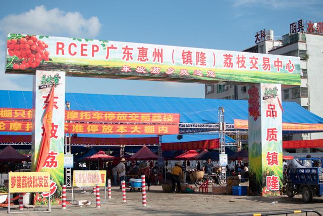 广东财经大学齐心携荔团队三下乡：探访东坡荔乡 助力乡村振兴