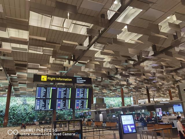 艰难回国路，偷鸡不成蚀把米