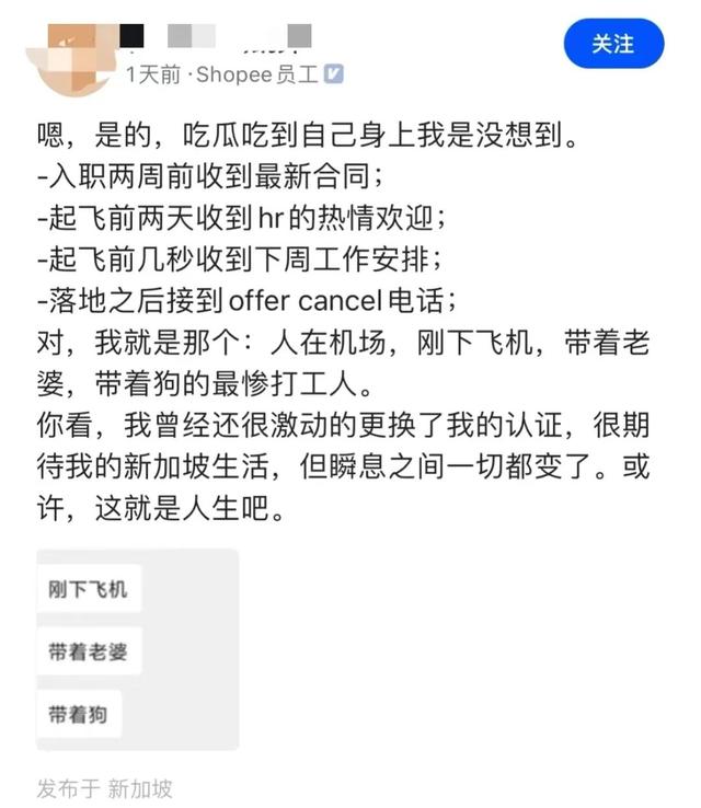 带着狗和老婆刚到新加坡，虾皮Offer取消了