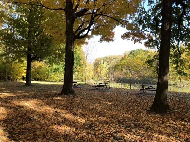 新加坡戏剧影视相关的大学