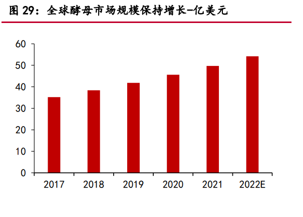 安琪酵母研究报告：育先机开新局，突破成长天花板