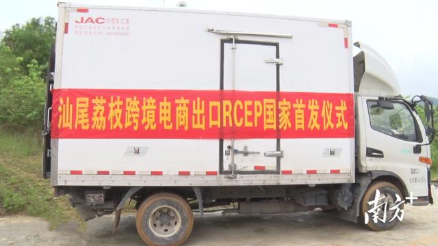 首次尝试即获成功！汕尾已向RCEP国家出口3批荔枝