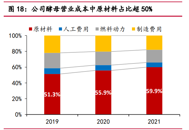 安琪酵母研究报告：育先机开新局，突破成长天花板