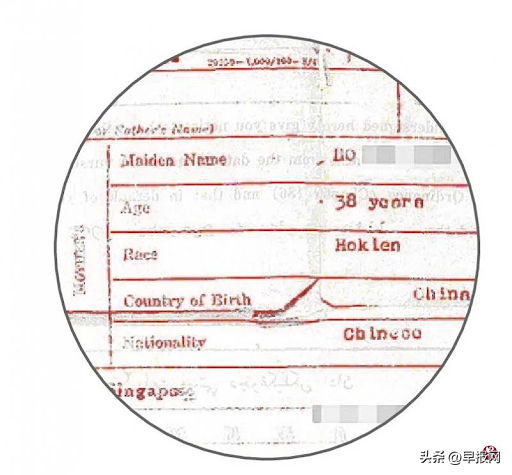 电子出生证不再注明父母籍贯 会馆担心新加坡华人渐“忘根”