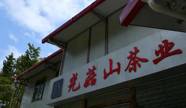 赣南茶行 | 上犹：守望茶心 看光菇山的“破茧成蝶”（三）