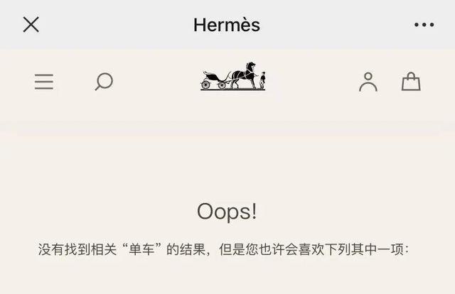 16.5万爱马仕自行车被抢光，网友：四个轮的不如俩轮的……