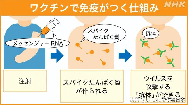 「科普文」日本儿童新冠疫苗接种效果如何？不良反应是什么？