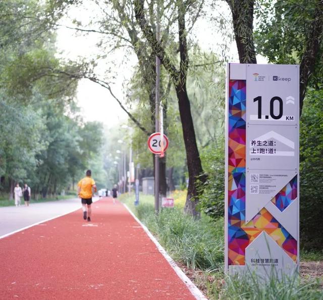 在奥森跑步14年，今年不一样了