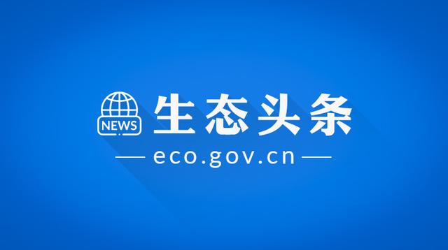 生态头条 | 地球上现存最大的鱼正在因与船只碰撞走向消亡？