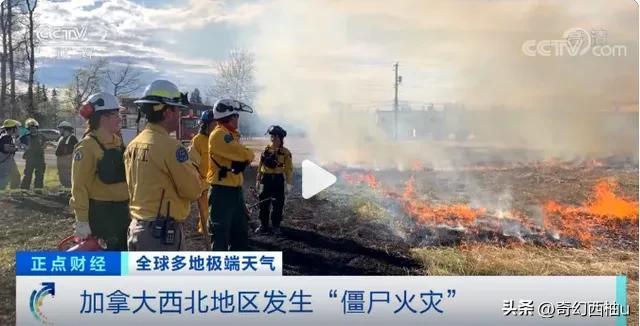 加拿大的“僵尸火灾”，或与气候变暖有关，人类该警惕野火的发生