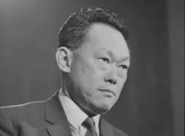 1978年，邓小平访问新加坡，李光耀：如果你出生在新加坡会怎样