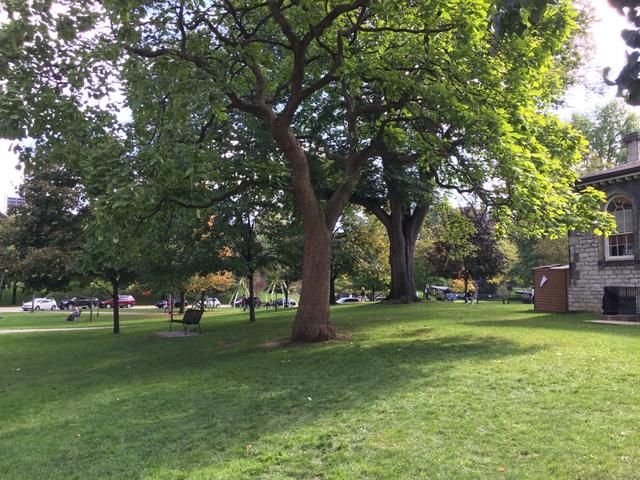 新加坡服装设计硕士