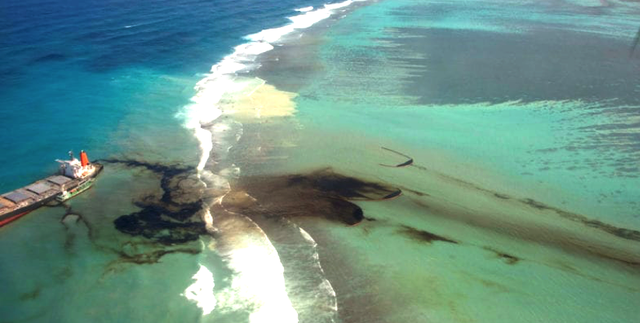 新加坡燃油销售量攀升至7个月以来最高