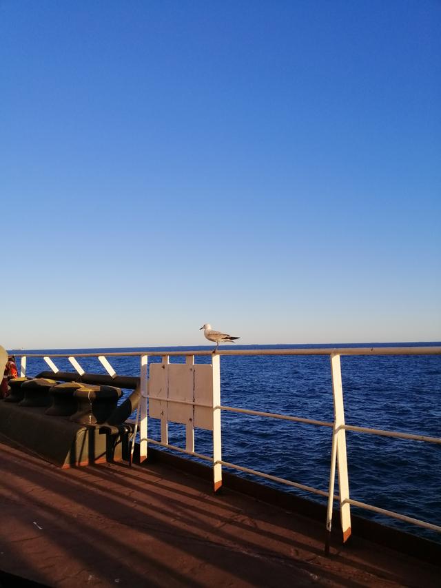 普证机工航海日记（九十九）