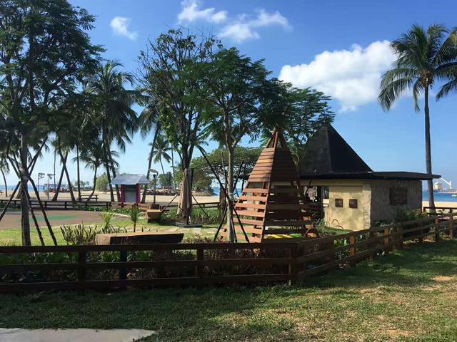 高中毕业想去新加坡留学学医