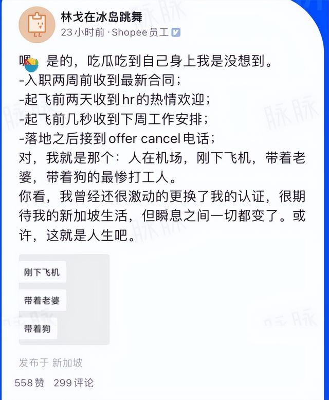 人在新加坡，刚下飞机，收到虾皮毁Offer通知