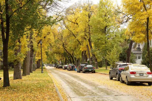 新加坡管理学院本科申请要求