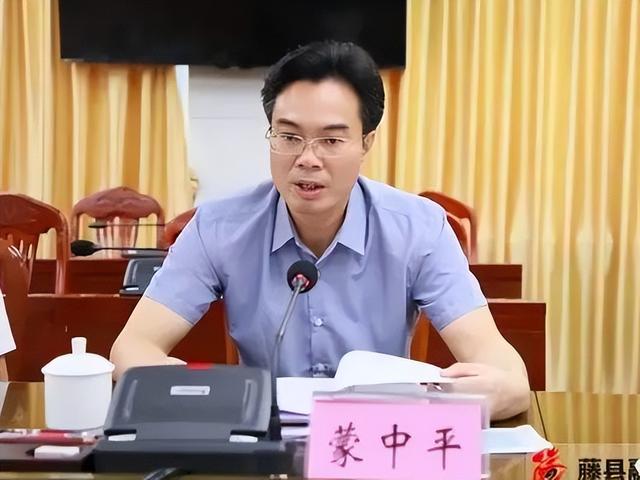 广西人事大数据：111名县（市、区）长名单大全（含简历）