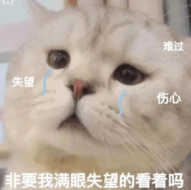 申请艺术专业，不会选校该怎么办？