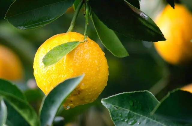 记一次难忘的新加坡学历留服认证复核专业名称修改成功经历