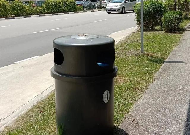 “新加坡到底咋想的？塑料袋不收费，垃圾不分类”