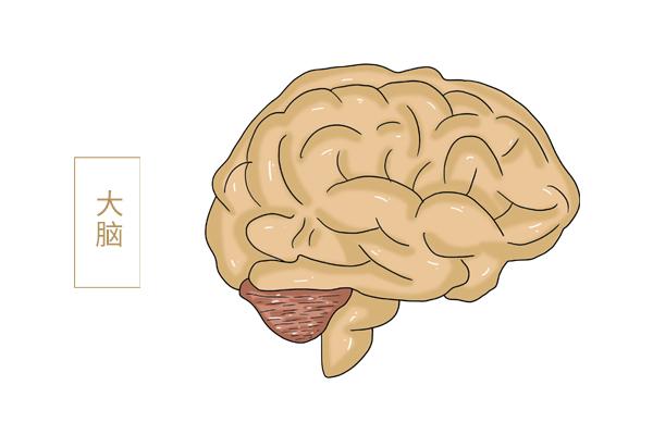 碳水摄入量，与肠癌有关系？关于碳水的合理摄入，真要了解清楚